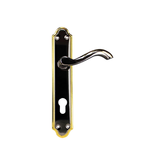 DOOR LOCK FULL SET – BN/GP F/S